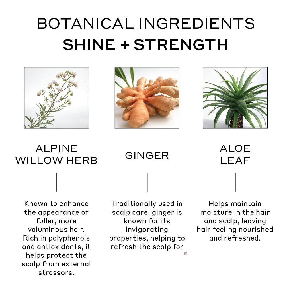 Evolve Nourishing Repair Shampoo Treatment